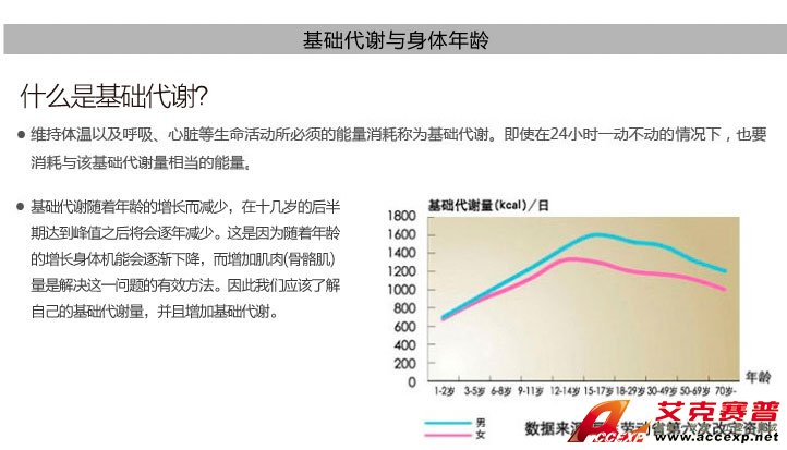 基礎代謝與身體年齡