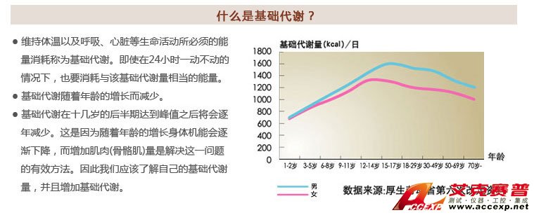 了解基礎代謝
